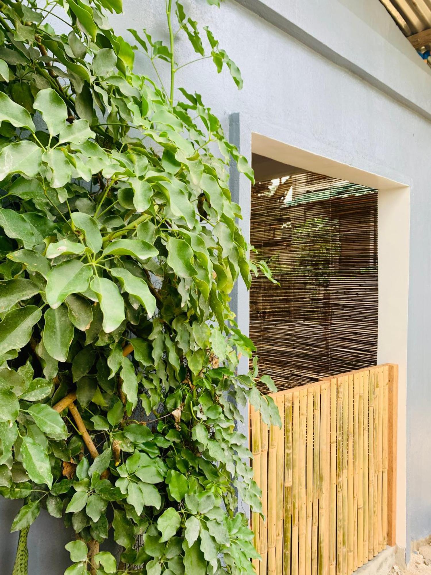 Jaydy Hostel جنرال لونا المظهر الخارجي الصورة