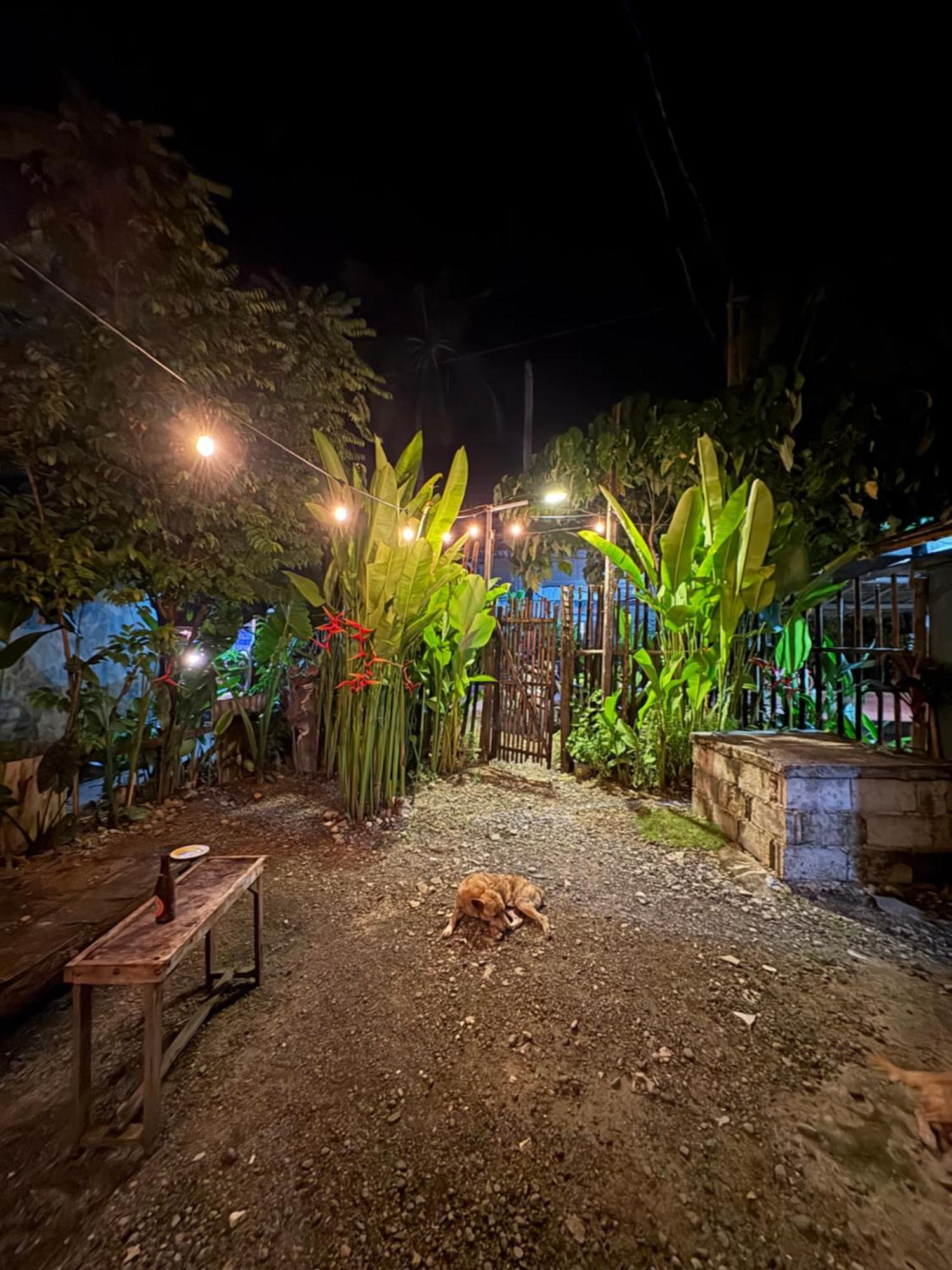 Jaydy Hostel جنرال لونا المظهر الخارجي الصورة
