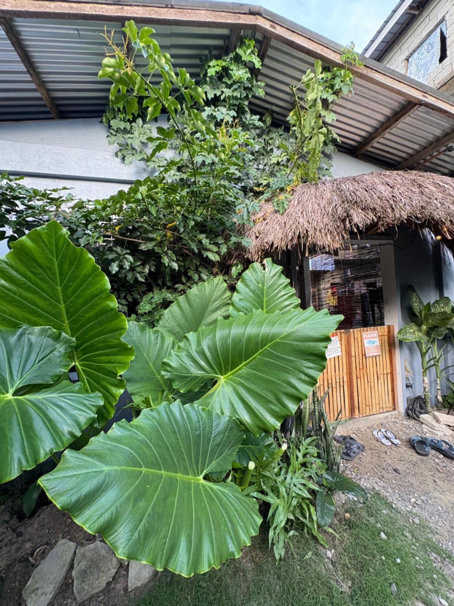 Jaydy Hostel جنرال لونا المظهر الخارجي الصورة